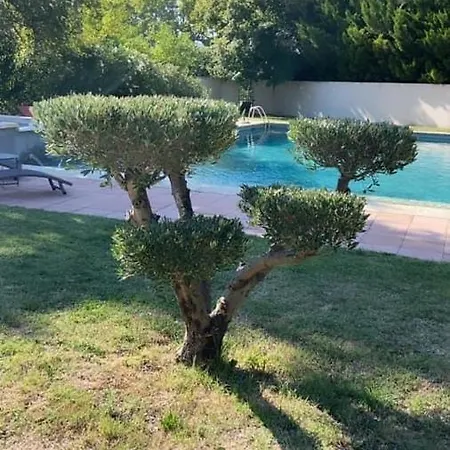 Frühstückspension La Bastide Des Arts *