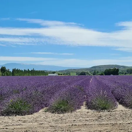 La Bastide Des Arts Frühstückspension Saumane-de-Vaucluse